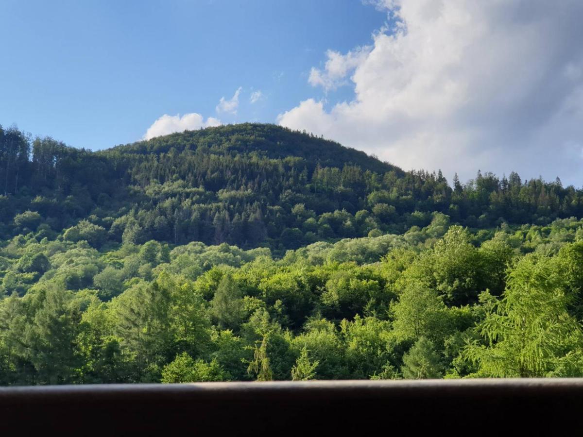 Apartmán Viktória Terhely Kültér fotó